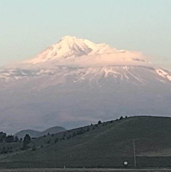 Meet your Posher, Benjamin - Picture 1 of 1